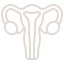 uterus